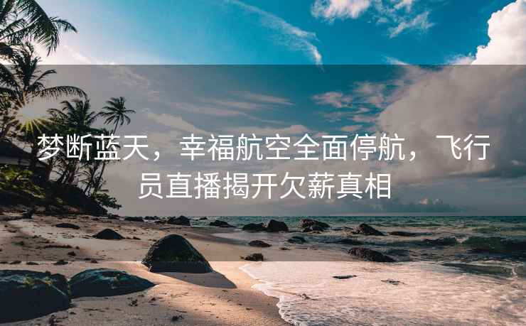 夢斷藍天，幸福航空全面停航，飛行員直播揭開欠薪真相