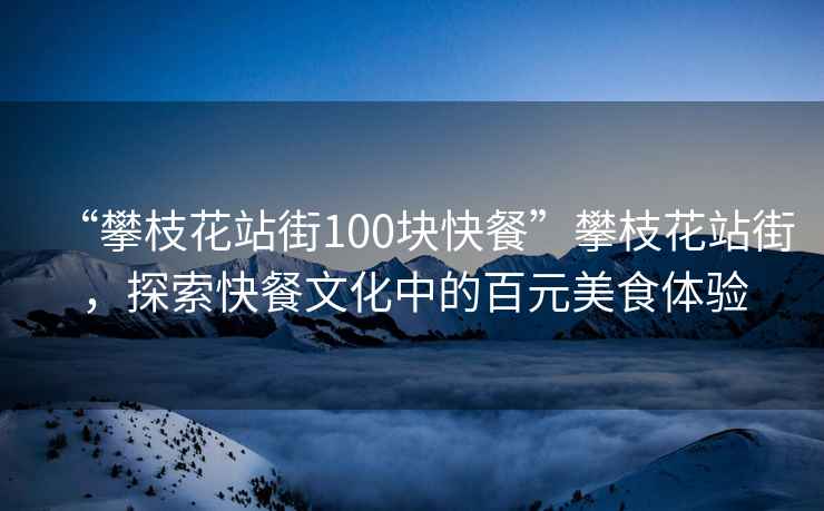 “攀枝花站街100塊快餐”攀枝花站街，探索快餐文化中的百元美食體驗