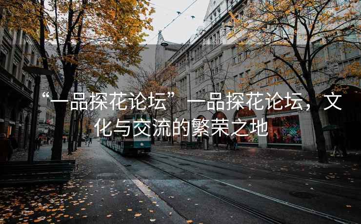 “一品探花論壇”一品探花論壇，文化與交流的繁榮之地