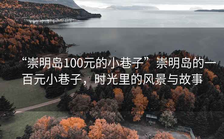 “崇明島100元的小巷子”崇明島的一百元小巷子，時光里的風景與故事