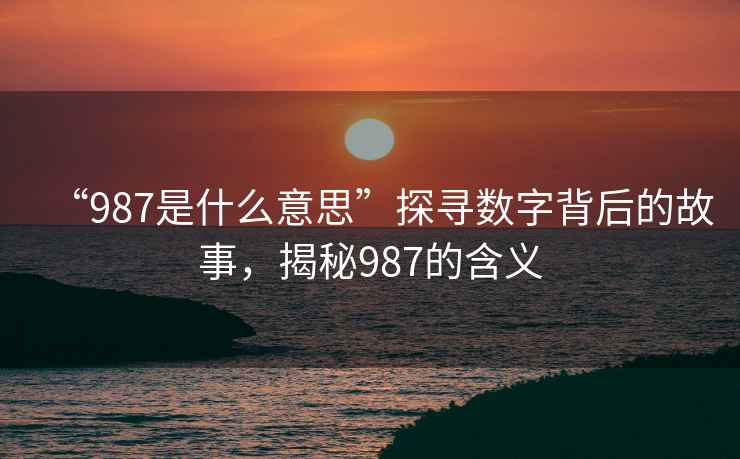 “987是什么意思”探尋數字背后的故事，揭秘987的含義