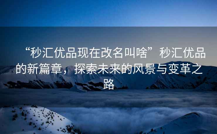 “秒匯優品現在改名叫啥”秒匯優品的新篇章，探索未來的風景與變革之路