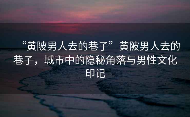 “黃陂男人去的巷子”黃陂男人去的巷子，城市中的隱秘角落與男性文化印記