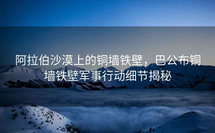 阿拉伯沙漠上的銅墻鐵壁，巴公布銅墻鐵壁軍事行動細節揭秘