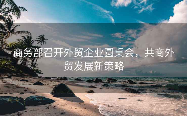 商務部召開外貿企業圓桌會，共商外貿發展新策略